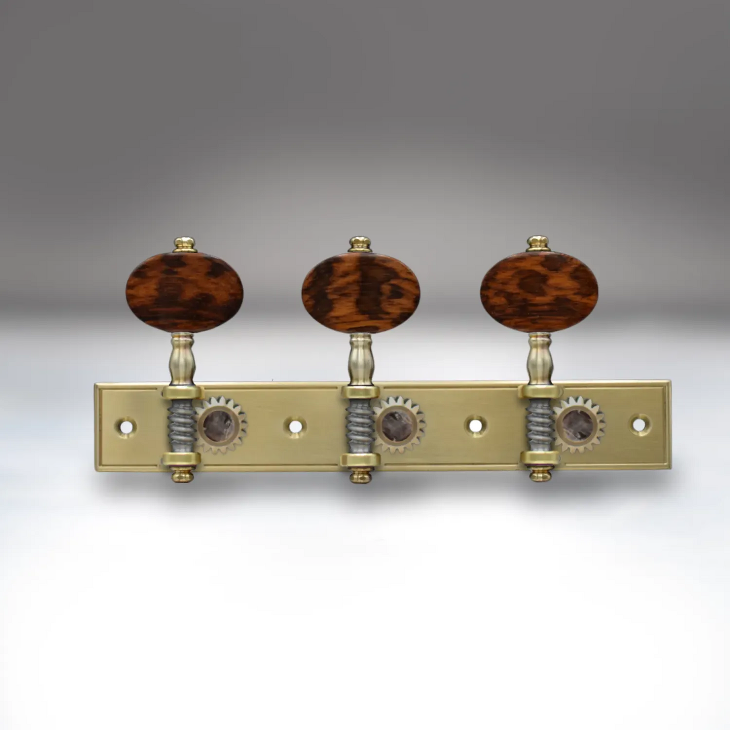 Design Studio - Classical Guitar