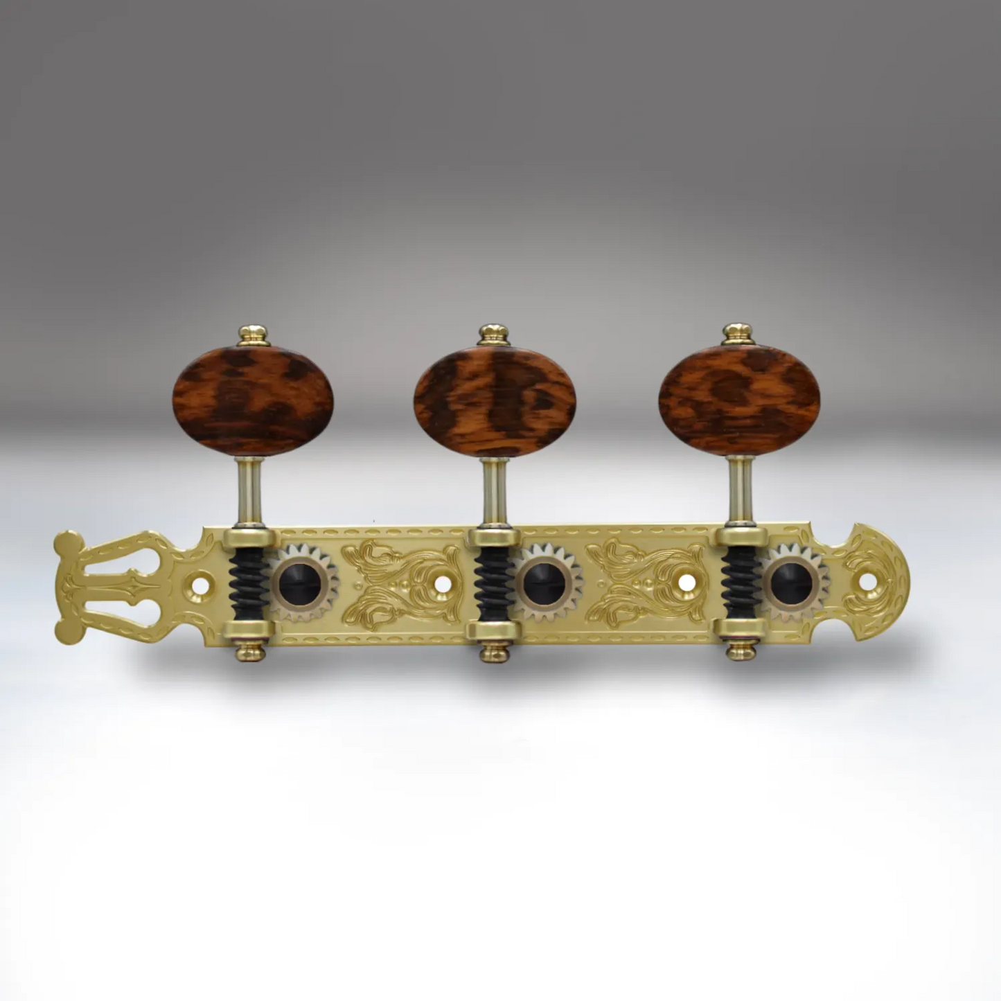Design Studio - Classical Guitar