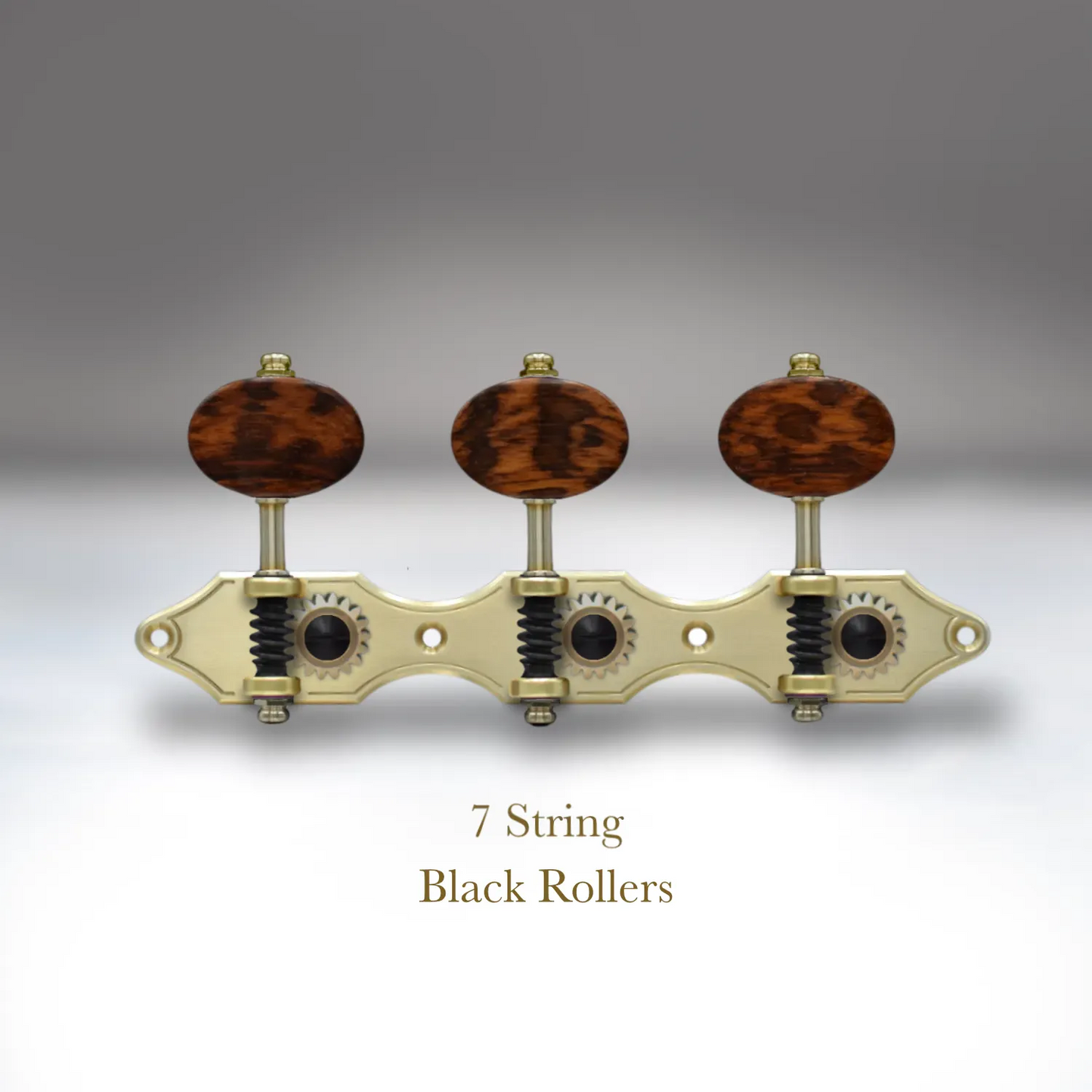 Design Studio - Classical Guitar